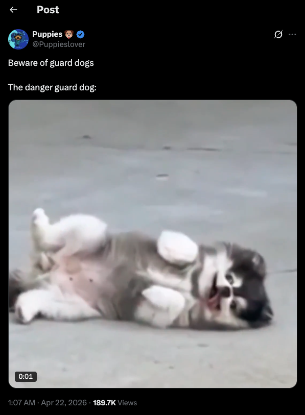 Original X post: Beware of guard dogs. The danger guard dog.